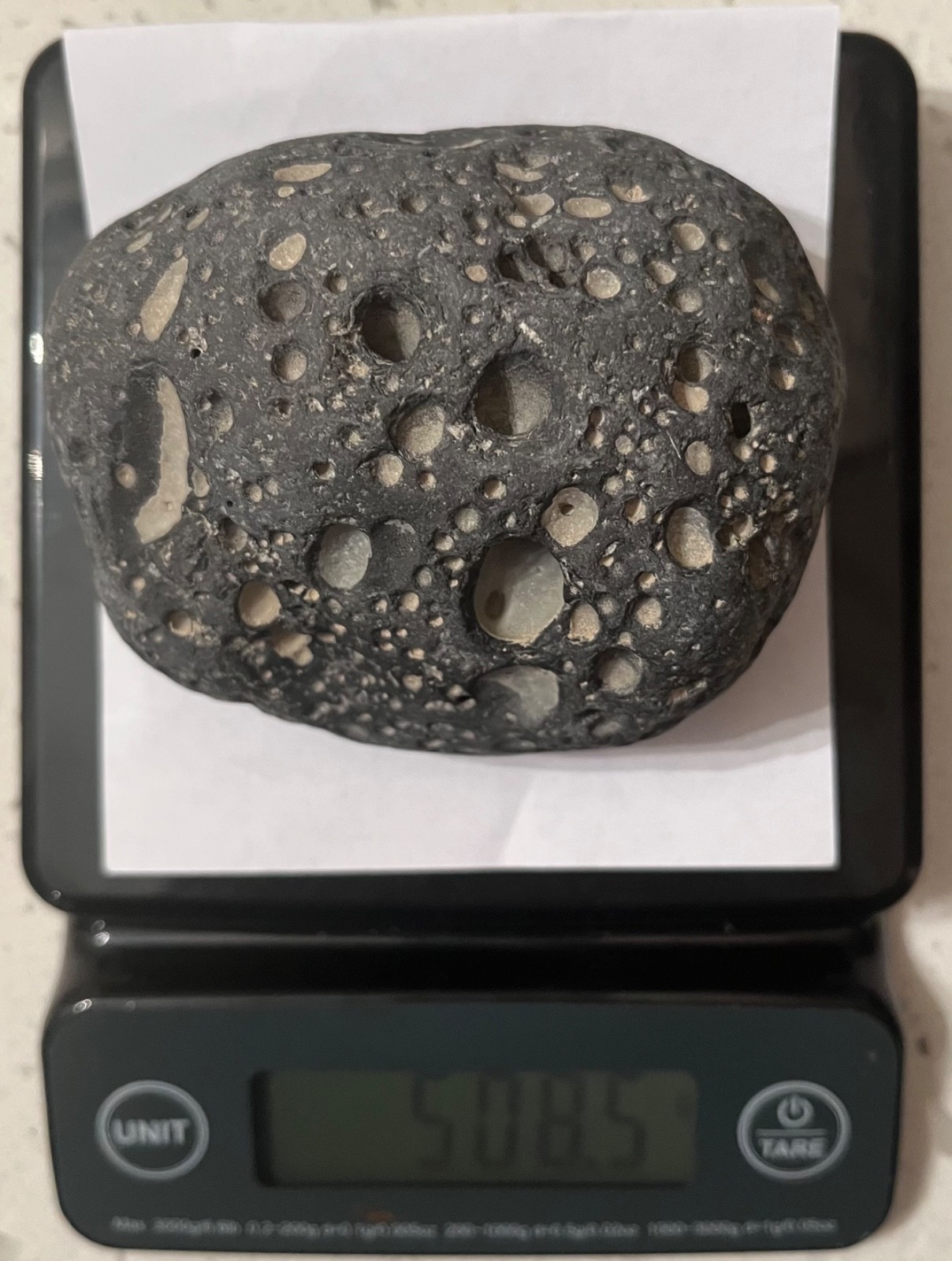lunar meteorite for sale 508 g for $40000 lunar meteorite for sale 508 g for $40000