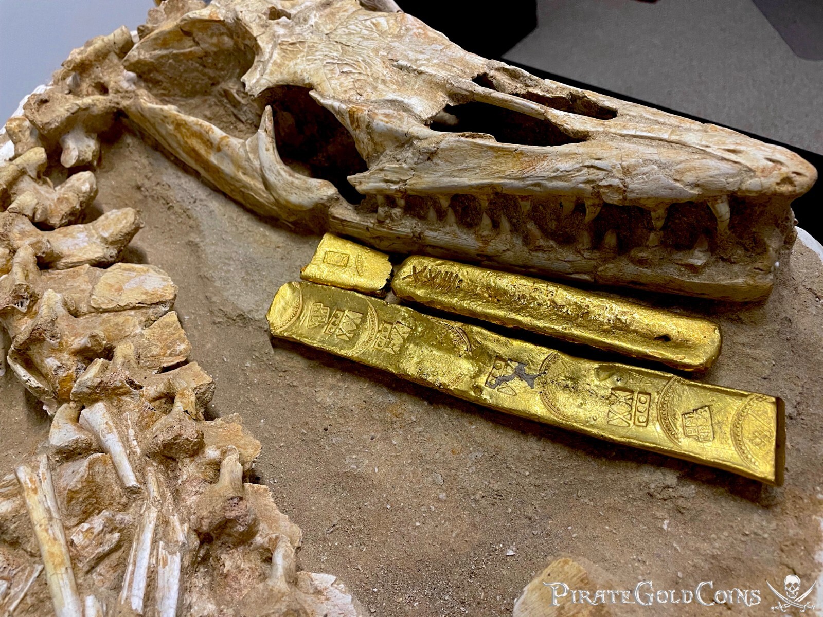 MOSASAURUS DINOSAUR FOSSIL HALISAURUS ARAMBOURGI MOSASAUR JURASSIC MOSASAURUS DINOSAUR FOSSIL HALISAURUS ARAMBOURGI MOSASAUR JURASSIC