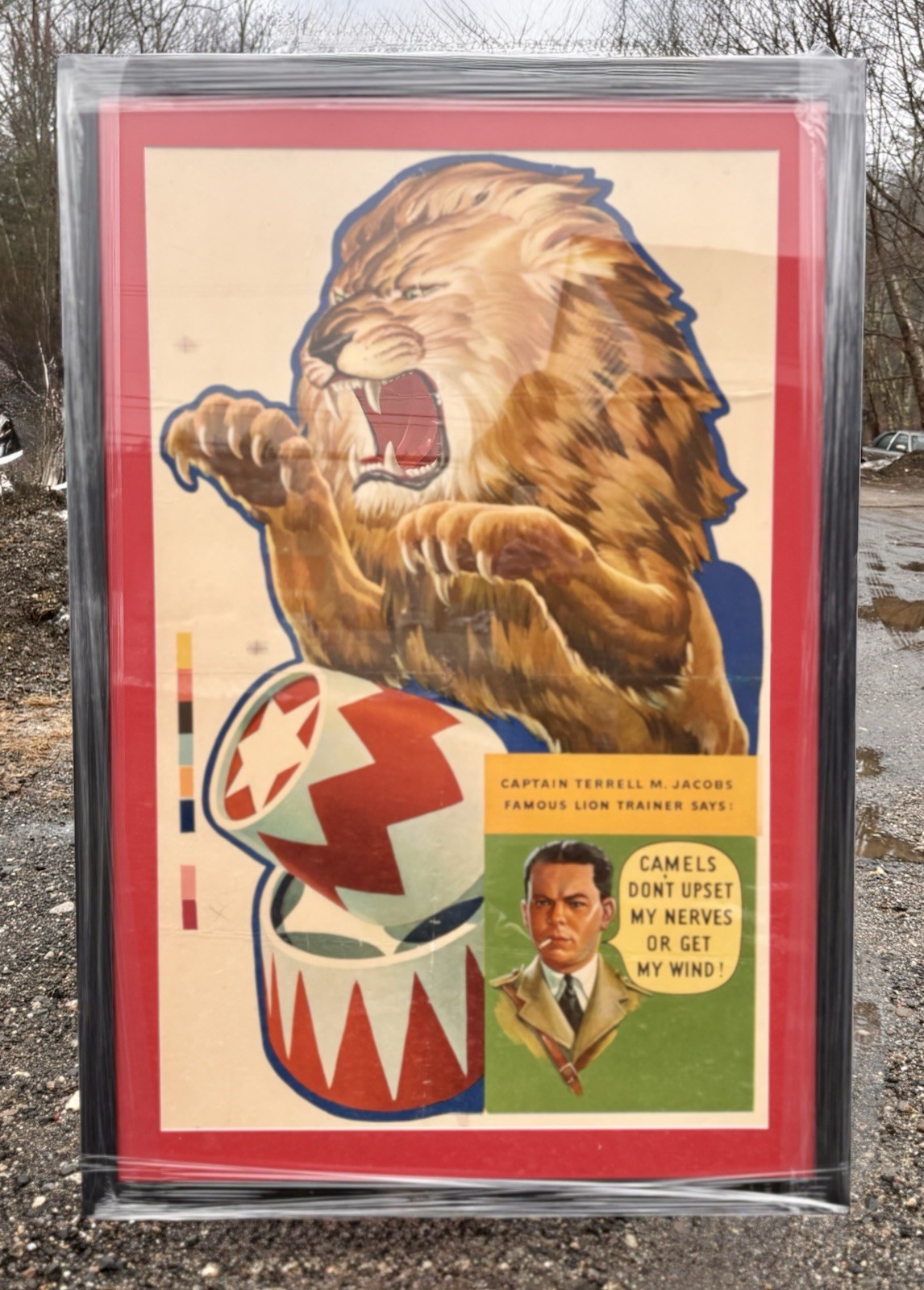 🔥RARE Vintage Ringling Bros Barnum & Bailey Terrell M Jacobs Circus Lion Poster