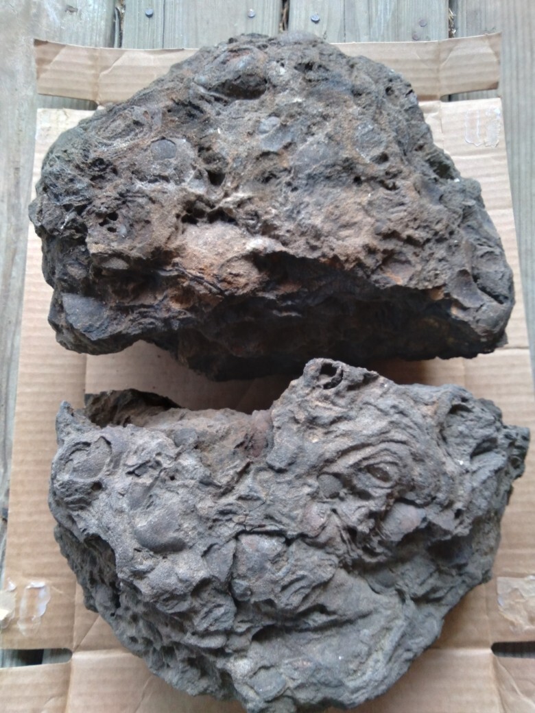 rock fossil mineral specimens lot