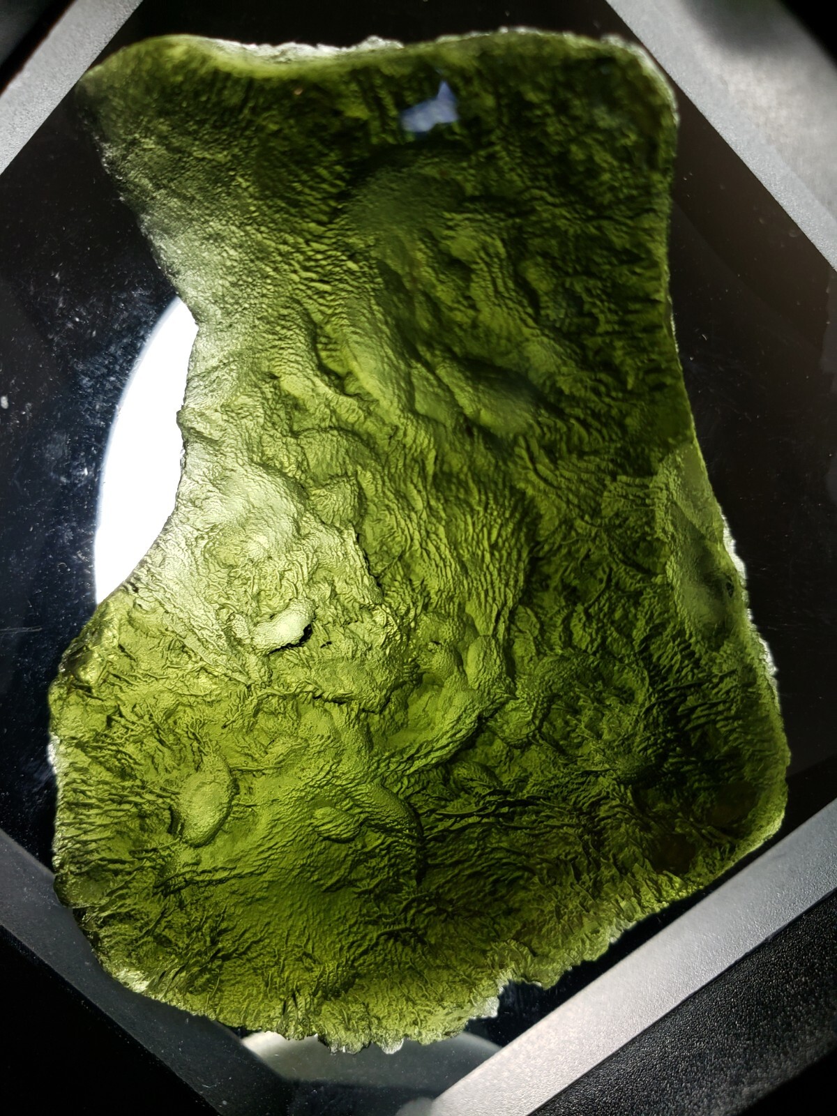 Museum Quality Large Curved Moldavite Showpiece Weighing 43.8 grams With Cert