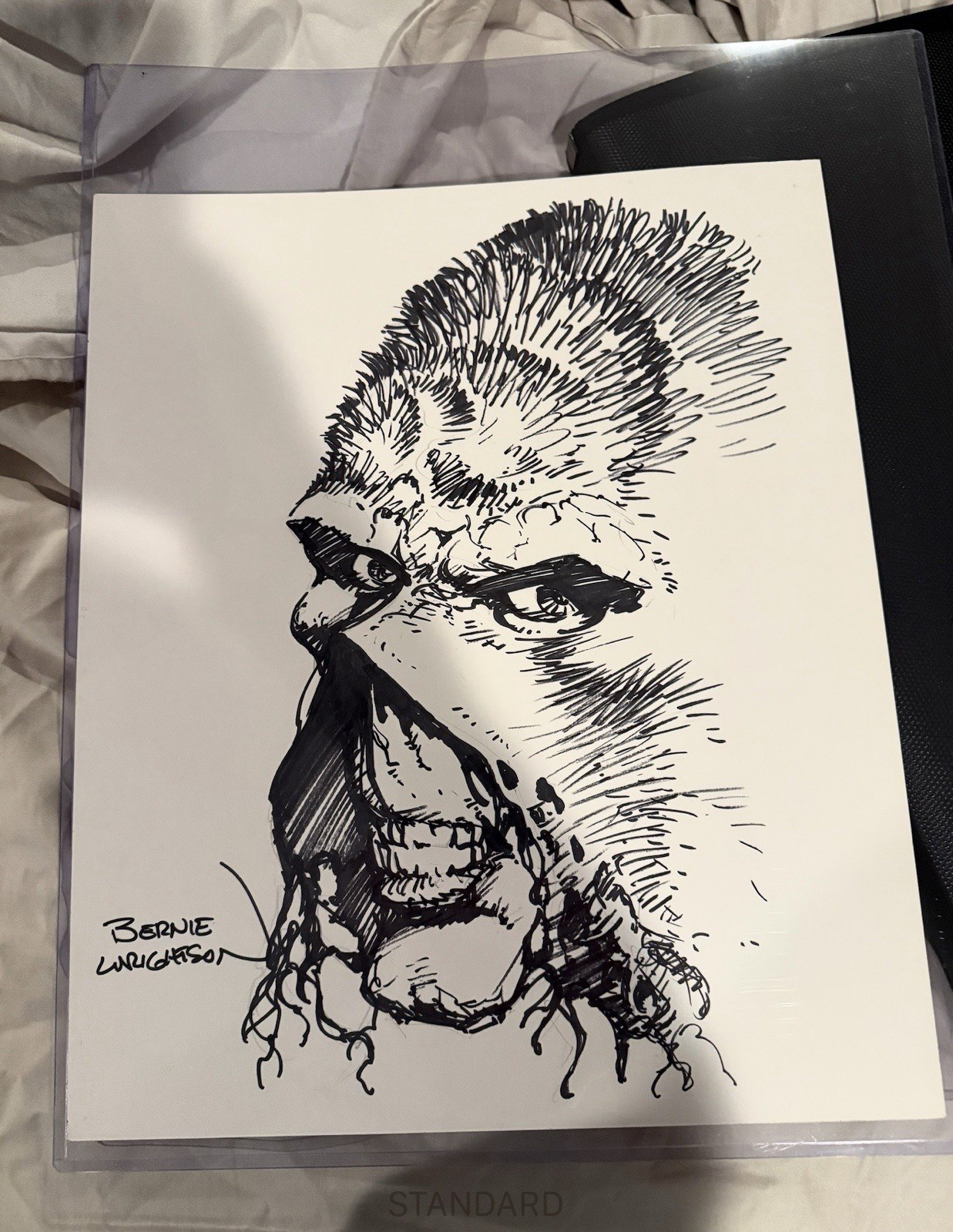 Bernie Wrightson 14 X 17 Original Swamp Thing Sketch Large Unframed DC Comics