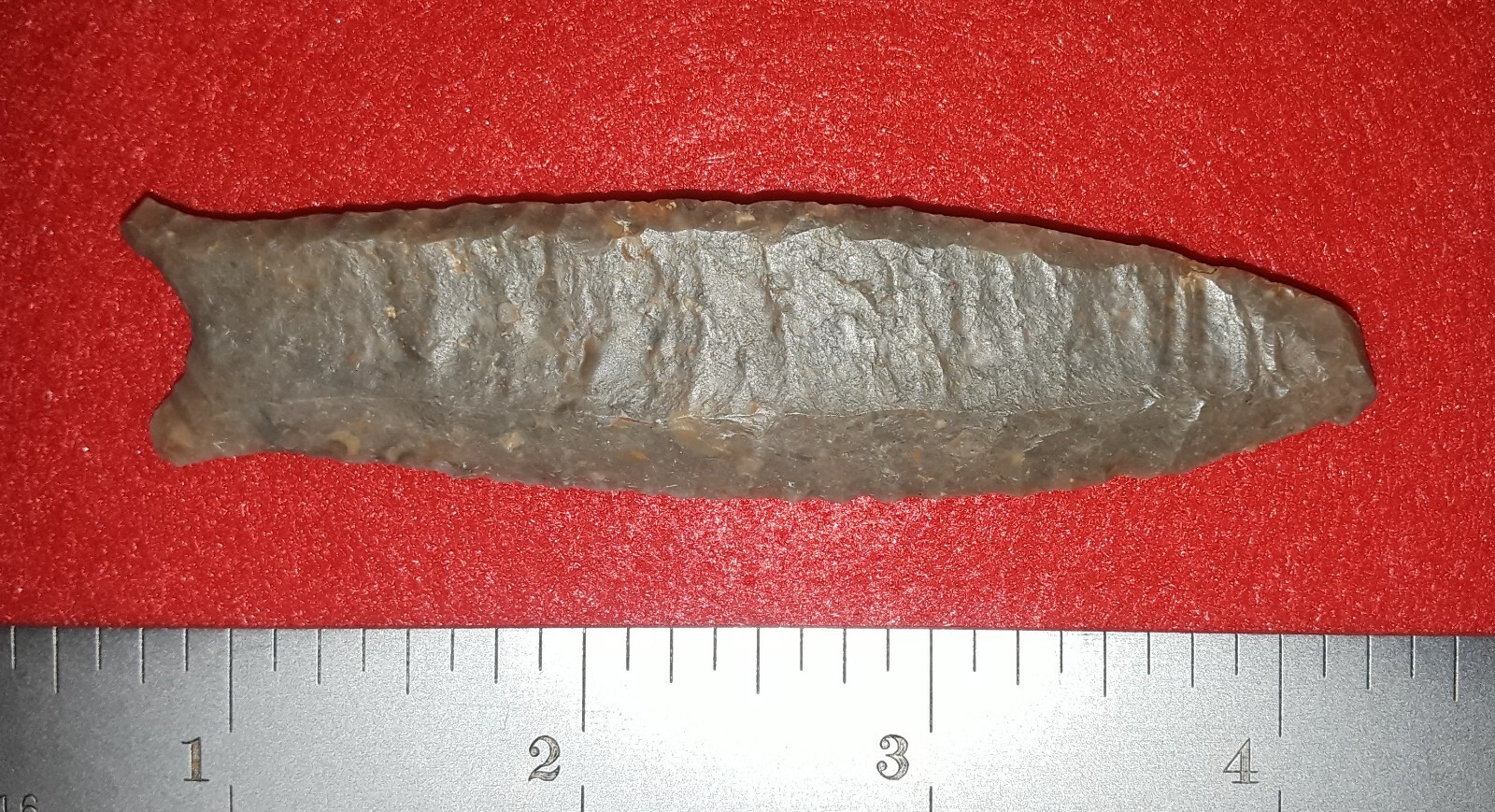 E199: 3-½ in. Boyle chert Cumberland from Clinton County, Kentucky with 3 COAs E199: 3-½ in. Boyle chert Cumberland from Clinton County, Kentucky with 3 COAs