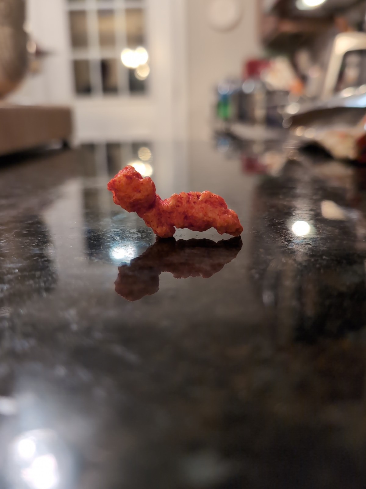 Once In A Lifetime Find Weiner Dog Cheeto W/ Distinct Features From Legs 2 Face