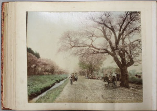 Japanese Landscapes Photo Album Book 47 Hand-Tinted Photographs Kusakabe Kimbei