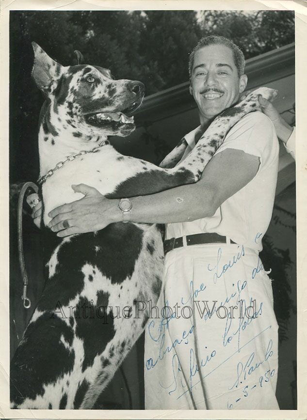 Brazil singer Silvio Caldas Great Dane dog signed photo to boxer Joe Louis 1950