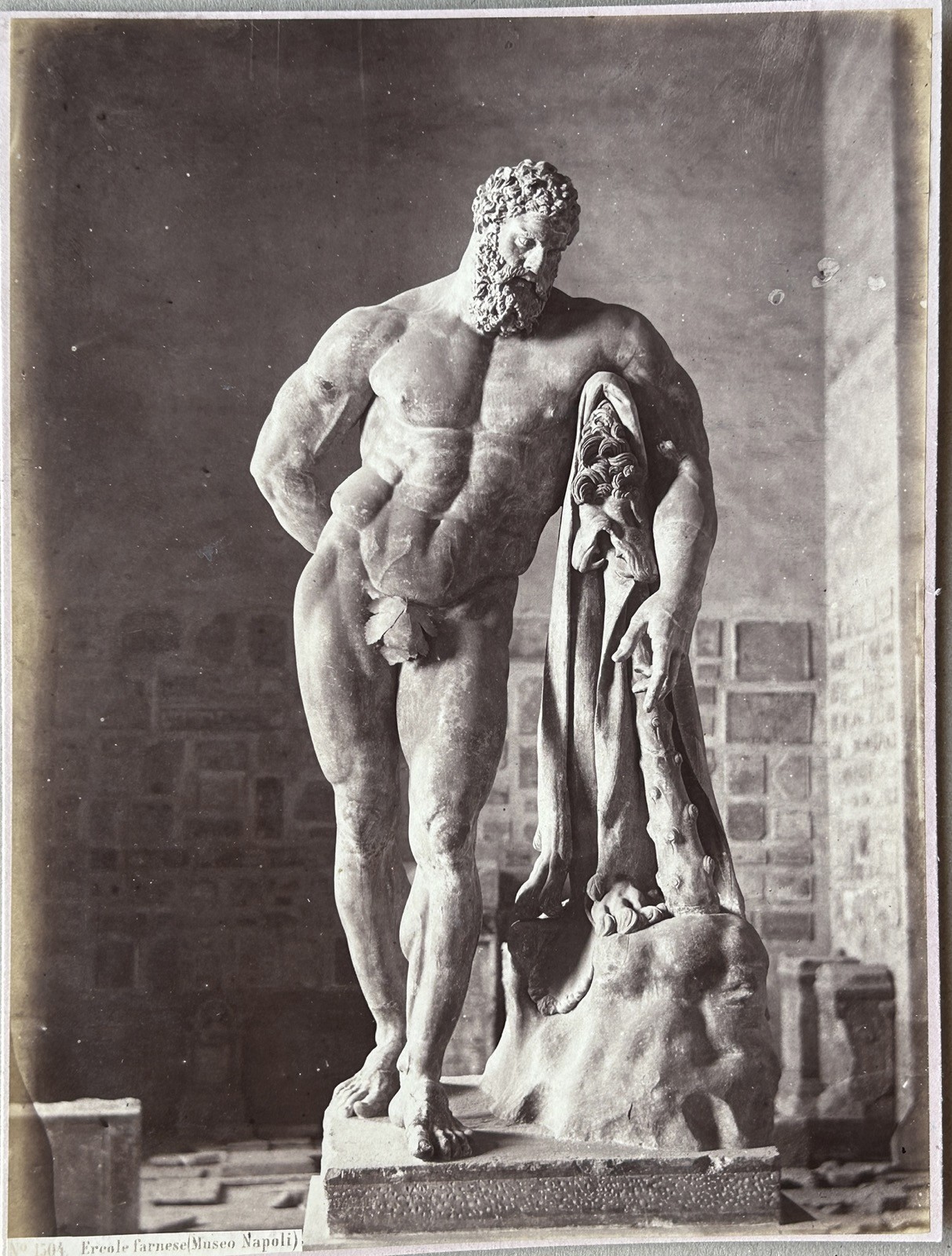 Italy Naples Archaeological Museum Hercules Farnese c1865 Vintage Albumen Photo Italy Naples Archaeological Museum Hercules Farnese c1865 Vintage Albumen Photo