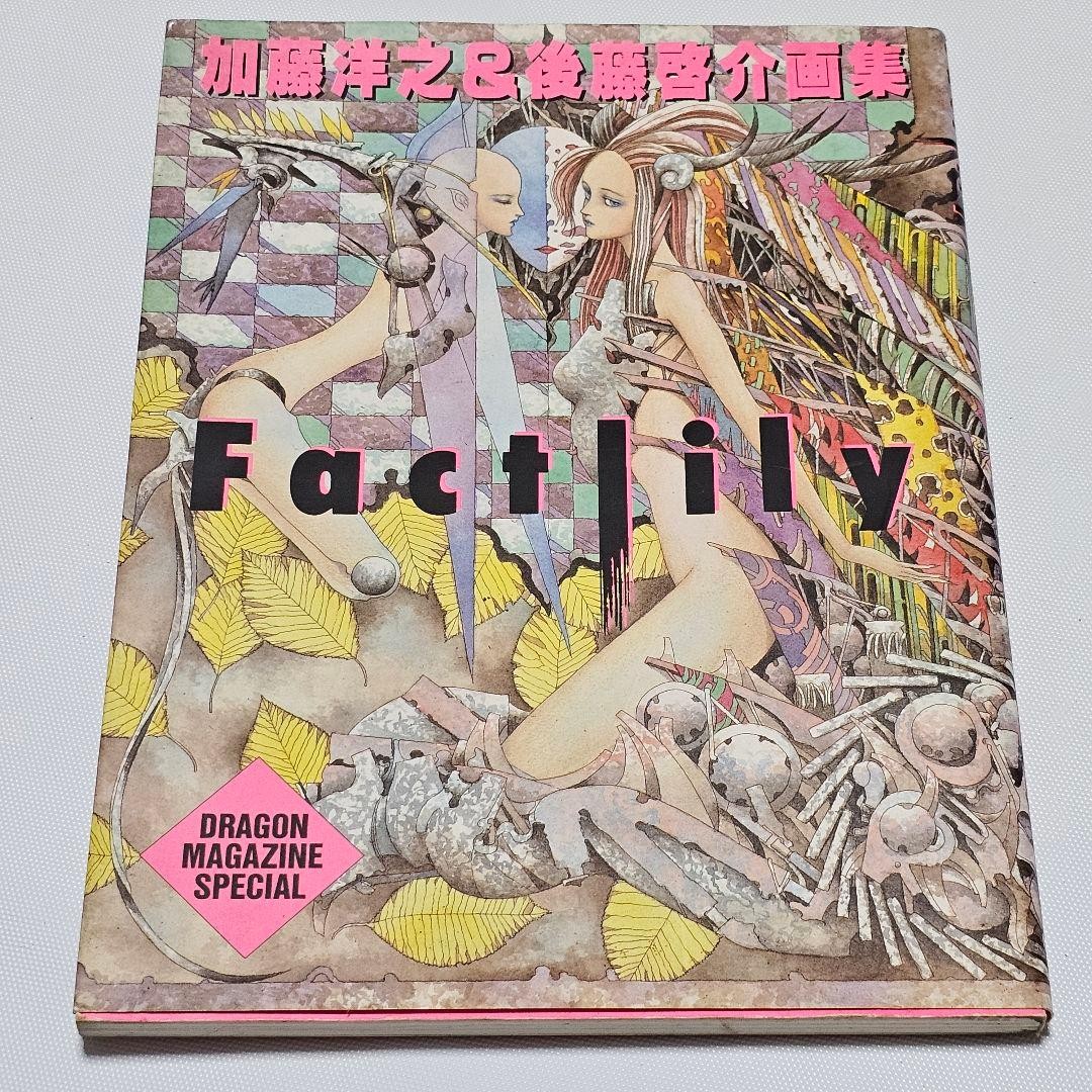 Rare First Edition Hiroyuki Kato Keisuke Goto Art Book Factlily No Obi Rare First Edition Hiroyuki Kato Keisuke Goto Art Book Factlily No Obi