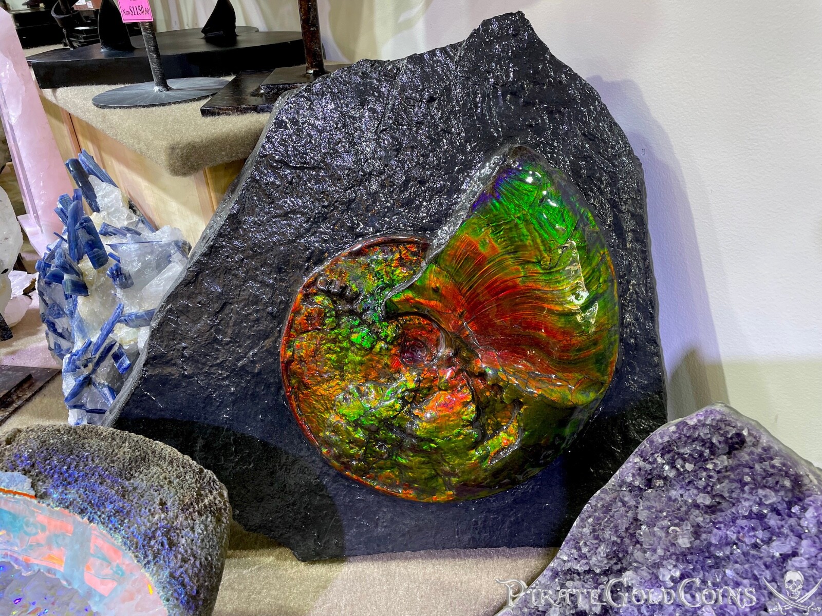 OPALIZED AMMONITE AMMOLITE WALL DISPLAY DINOSAUR FOSSIL JURASSIC OPALIZED AMMONITE AMMOLITE WALL DISPLAY DINOSAUR FOSSIL JURASSIC
