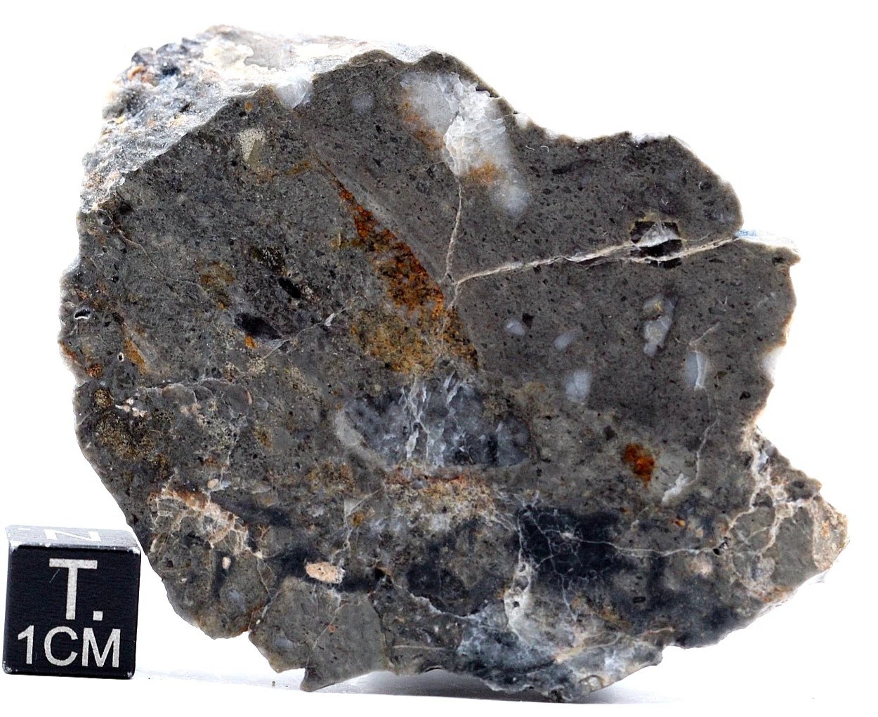 Lunar meteorite Touat 008 Troctolitiic melt breccia, 70.3 g rare Lunar meteorite