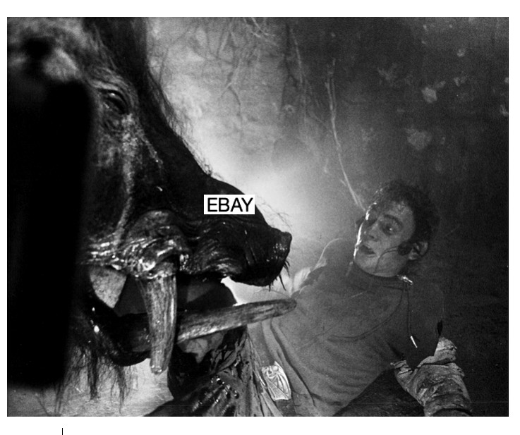 RAZORBACK 1984 HORROR MOVIE PHOTO AUSTRALIAN OUTBACK RUSSELL MULCAHY MONSTER RAZORBACK 1984 HORROR MOVIE PHOTO AUSTRALIAN OUTBACK RUSSELL MULCAHY MONSTER