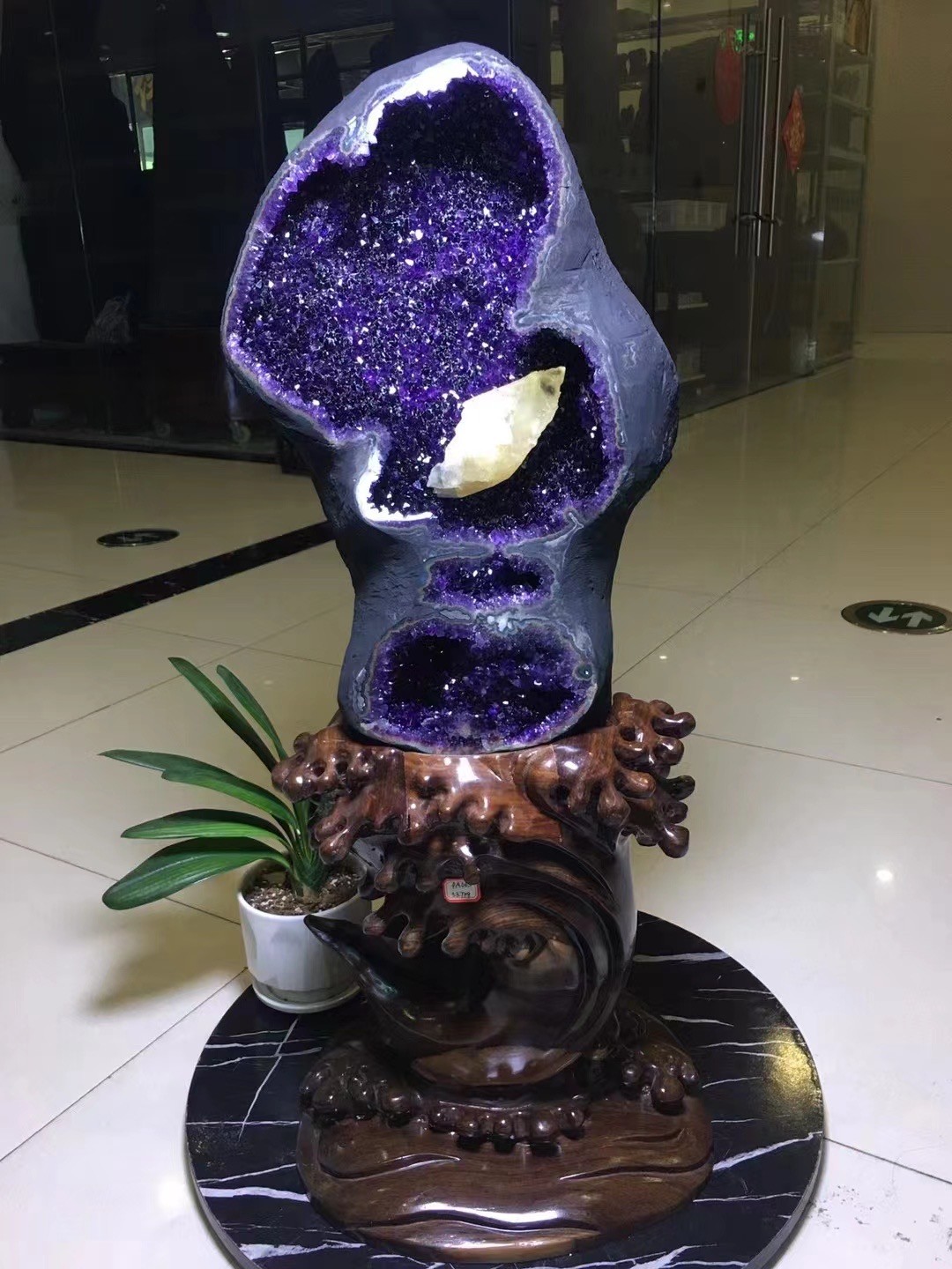 Natural Unique Triple Hole Amethyst Calcite Root Carved Wood Stand Lucky Crystal