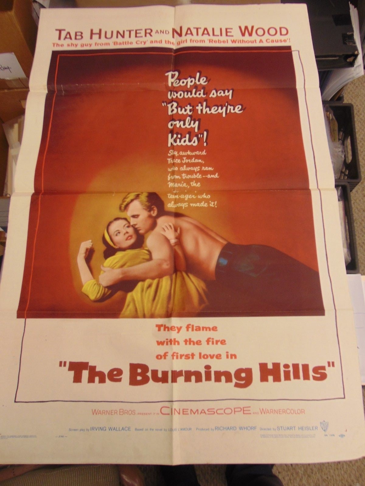 Natalie Wood Tab Hunter The Burning Hills 1956 1-Sheet Movie Poster N2509