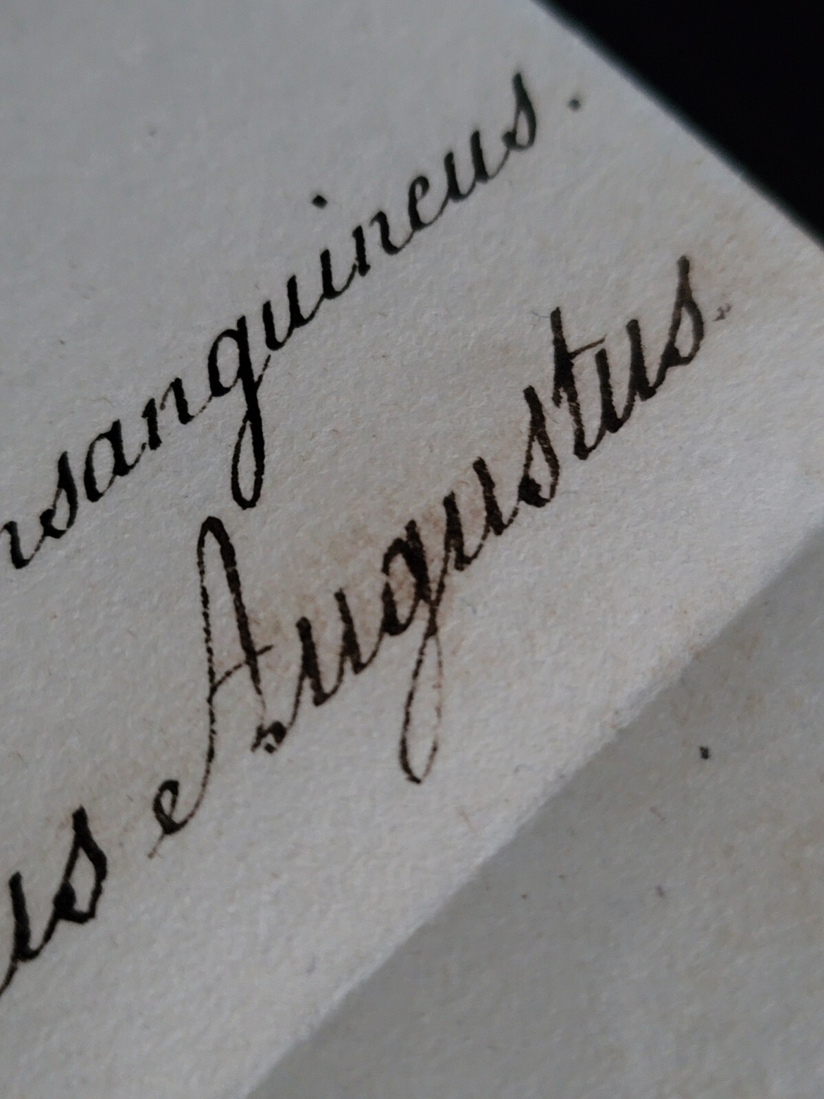 Saxony King Frederick Augustus I Signed Royal Letter to King Ferdinand I Sicily Saxony King Frederick Augustus I Signed Royal Letter to King Ferdinand I Sicily