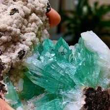 418G Natural apophyllite on zeolite Crystal Quartz Ore Healing Mineral Specimen picture