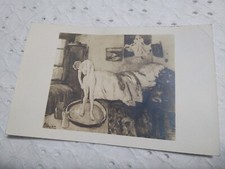 VTG RARE Blue Room By PICASSO POSTCARD PHOTO BY LEWIS P. WOLTZ POSTCARD picture