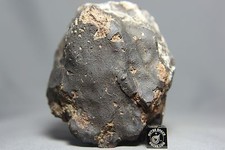 NWA 10700 LL4-6 Chondrite Meteorite 628 gram Main Mass picture
