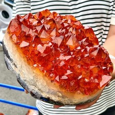 10.44LB Beautiful and high-quality yellow cluster cave samples picture