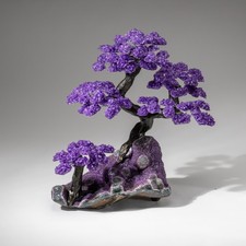 Custom Designed - Genuine Amethyst Clustered Gemstone Tree on Amethyst Matrix picture