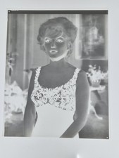 15 Original 1950s Marilyn Monroe Photo Negatives & Transparency 8