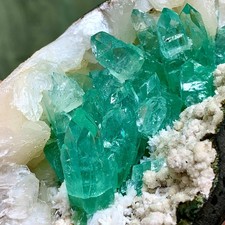 444G Natural apophyllite on zeolite Crystal Quartz Ore Healing Mineral Specimen picture