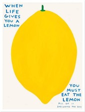 David Shrigley Untitled (When Life Gives You A Lemon) 2021 picture