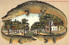 c.1909 Alligator Border Main St. Jacksonville FL post card picture