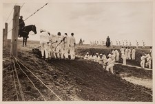 DANNY LYON PHOTOGRAPH 1968 THE LINE FERGUSON PRISON TX BROOKLYN NY RARE MAGNUM picture