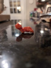 Once In A Lifetime Find Weiner Dog Cheeto W/ Distinct Features From Legs 2 Face picture