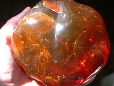 Beautiful Deep Orange Dominican Amber Fossil Gemstone GIANT 625 gram Insects picture
