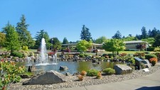 Finley Sunset Hills Memorial Park Cemetery Grave - Tualatin View 830 Lot Space 4 picture