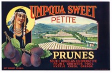 ORIGINAL VINTAGE 1920S OREGON PRUNE LABEL MYRTLE CREEK UMPQUA INDIAN GIRL SCARCE picture