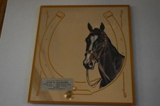 Vintage NOS Alvin Bleadorn Standard Oil MONTICELLO IA Advertising Horse Mirror picture