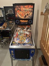 1993 Williams White Water Pinball Machine *WILL SHIP picture