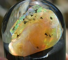 Virgin Valley Fire Opal Nevada Wet Opal Replaced Wood Display Dome 60.5 Carats picture