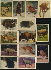 1930's V67 Neilson's Chocolate (Canada) WILD ANIMALS -Lot of (22) Different NICE picture
