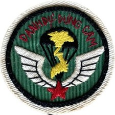 WARTIME LUC LUONG DAC BIET / SPECIAL FORCES 77TH BATTALION BERET INS (APCI-2275) picture