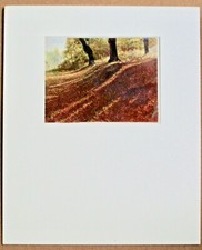 Lot of 10 Landscape Color Photos by Edith L. Wills, 1920s-30s, mounted, matted. picture