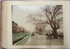 Japanese Landscapes Photo Album Book 47 Hand-Tinted Photographs Kusakabe Kimbei picture