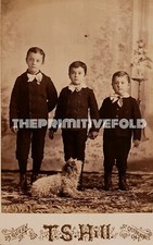 ANTIQUE PEKINGESE THREE BOYS TS HILL ST CATHARINES ON CANADA CABINET CARD PHOTO picture