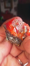 wulfenite red cloud mine, Yuma County, Arizona #72 picture