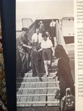 K3-8 Ephemera 1950s Picture Elephant Arrives Klm Airlines At London Airport picture