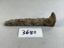 Weldon Railroad Spike Found/Dug Reams Station Petersburg VA Vintage 36B11 picture