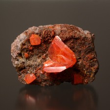 Wulfenite Fine Collector Mineral Specimen - Red Cloud MIne, USA picture