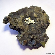 BISBEE SW MNINE EXTREMELY RARE BIRDS NEST HUGE FORMATION AZ GEMOLOGIST SELLER @ picture