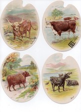 VERY RARE LIEBIG OXEN FIGURE picture