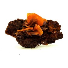 Minerals And Gemstones. Wulfenite. 334.0 Ct. San Francisco Mine, Cucurp picture