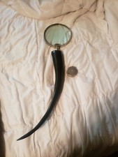 magnifying glass 23.5 ich taxidermy horn ,huge picture