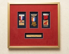 UNBELIEVABLE Authentic VIP President Donald J Trump Complete RNC Medal Set MAGA picture