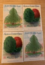 Vintage 1916 Put up by William D. Burt Dalton, N.Y. Genesee Valley Lithograph Co picture